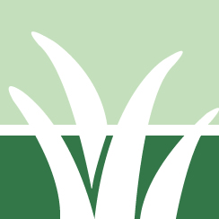 Poison Ivy Removal