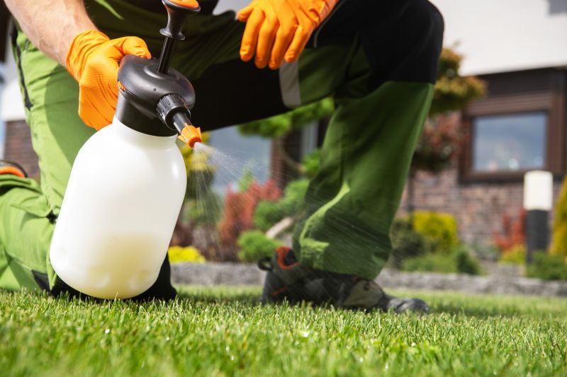 Crabgrass Prevention in Aiken, SC