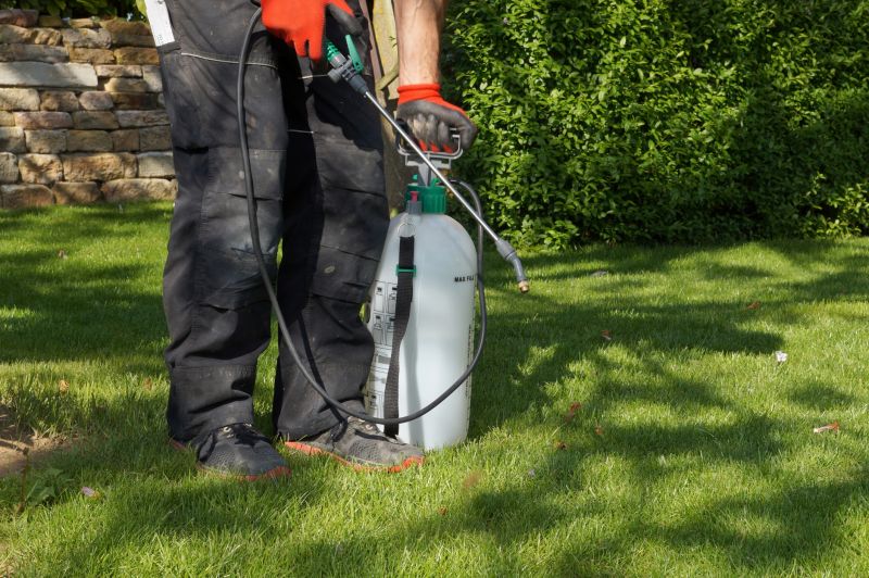 Healthy Lawn Maintenance