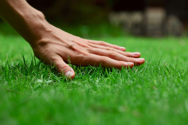 Healthy Lawn Results