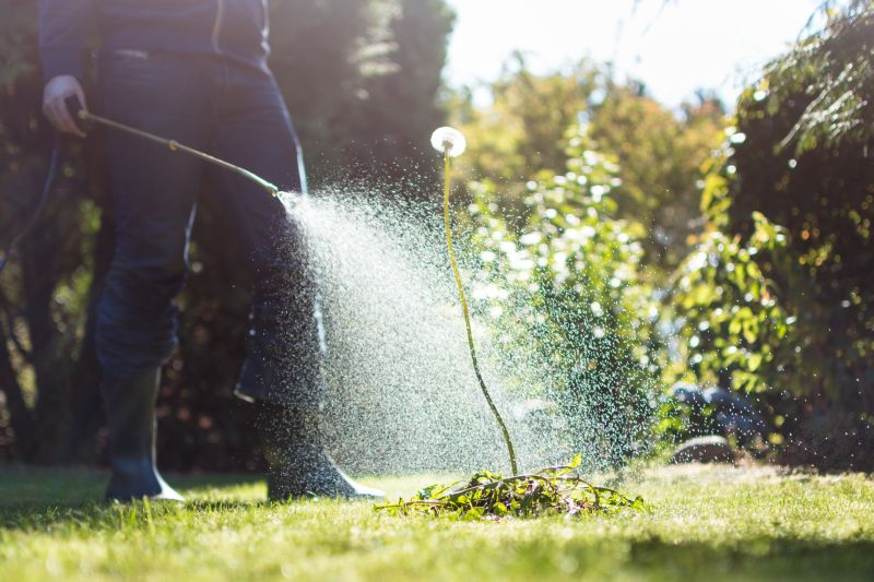 Lawn Weed Treatment in Aiken, SC