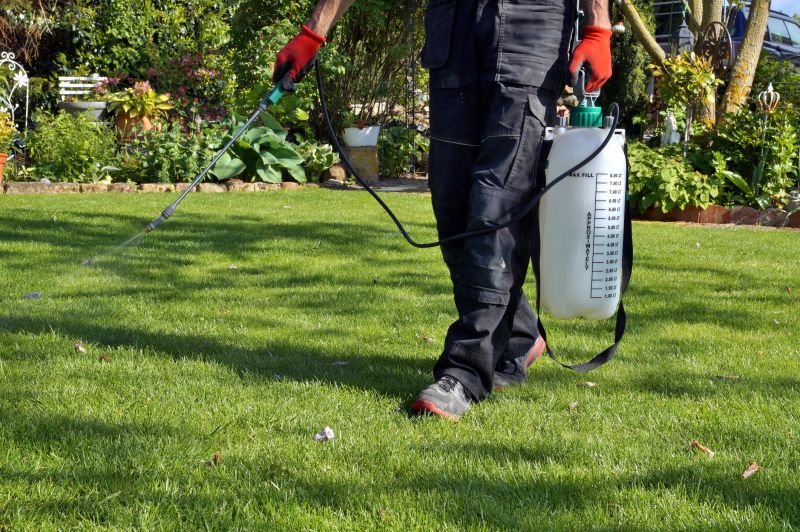 Soil Topdressing in Honolulu, HI